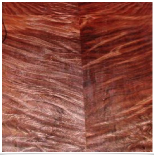 Curly Redwood